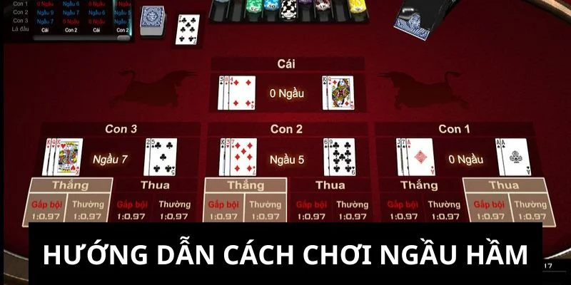 Cách chơi Poker cơ bản từ A đến Z dành cho người mới bắt đầu