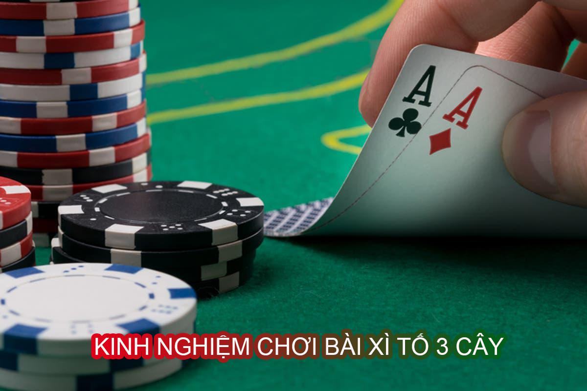 Cách Chơi Xì Tố 3 Cây Chi Tiết Và Hiệu Quả Cho Người Mới Bắt Đầu