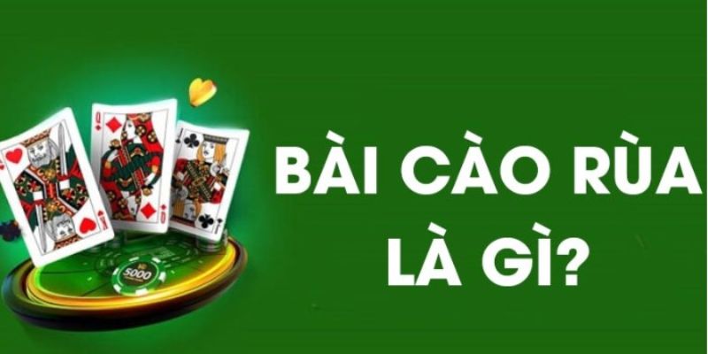 Bài cào rùa - Giới thiệu kinh nghiệm chơi bài mới nhất 2024