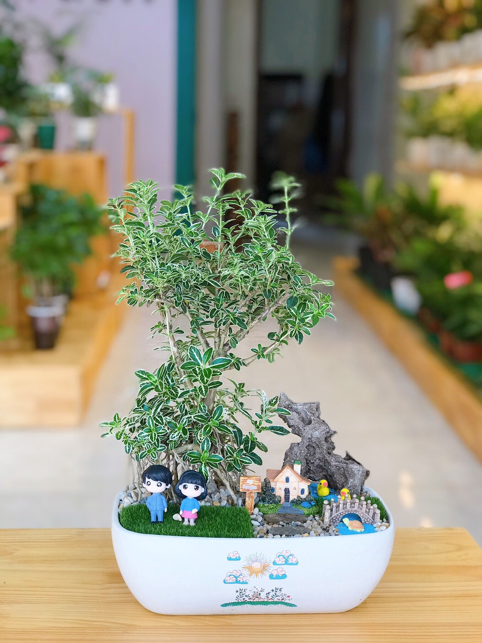 Cây bạch tuyết mai