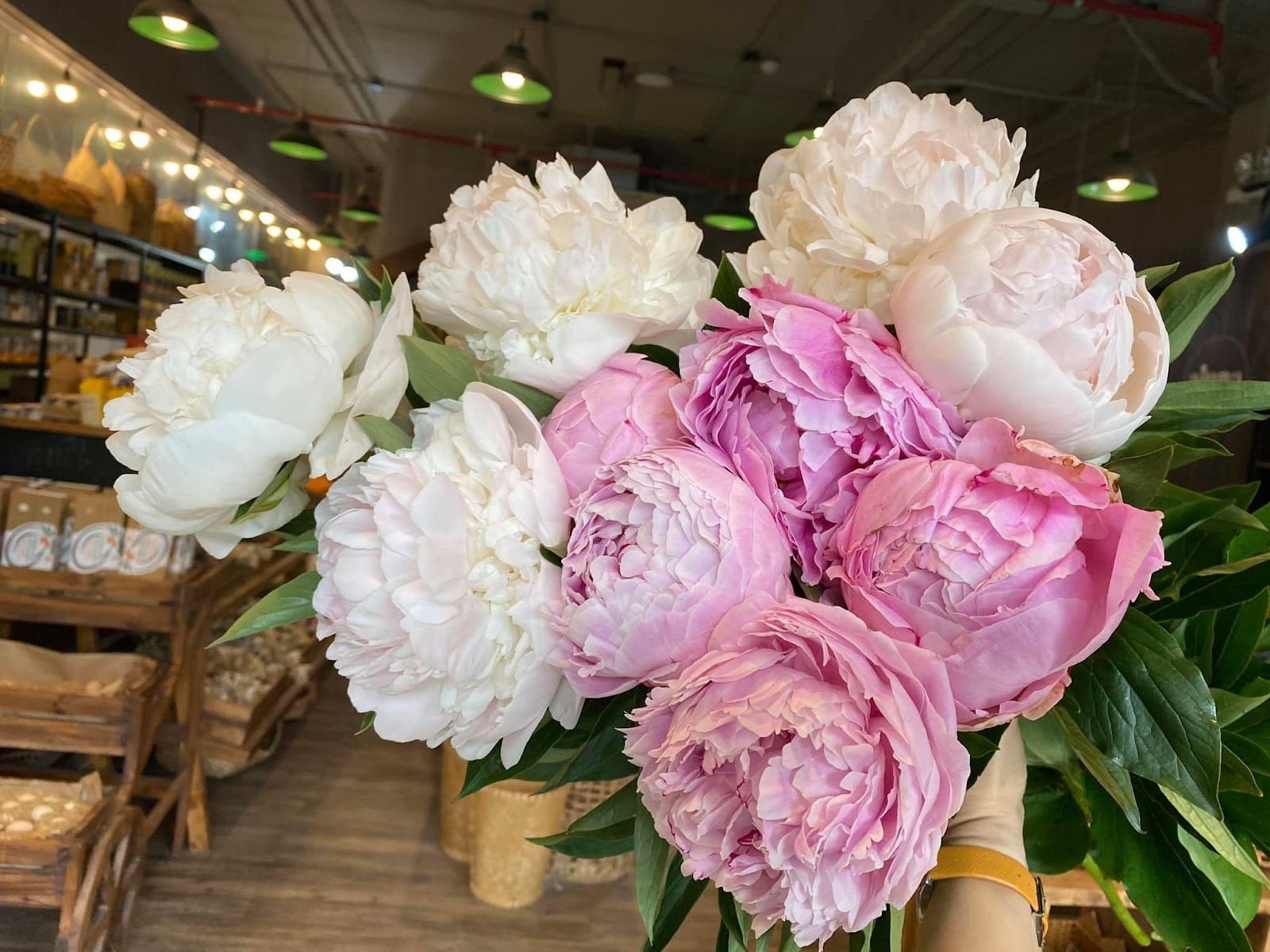 Hoa mẫu đơn là hoa gì?
