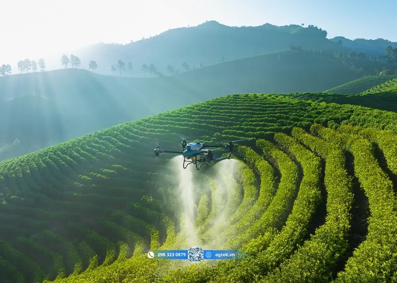 Drone là gì? Cấu tạo, nguyên lý hoạt động và ứng dụng thực tế