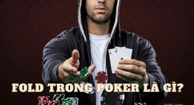 Fold trong poker là gì? Khái niệm cơ bản về bỏ bài