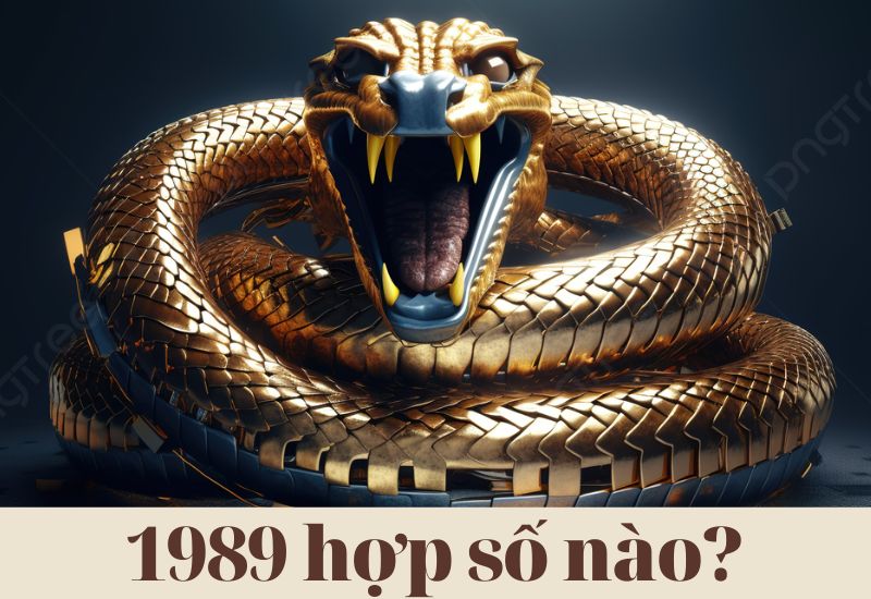 Kỷ Tỵ 1989 hợp số nào? Nam, nữ 1989 kỵ với số nào?