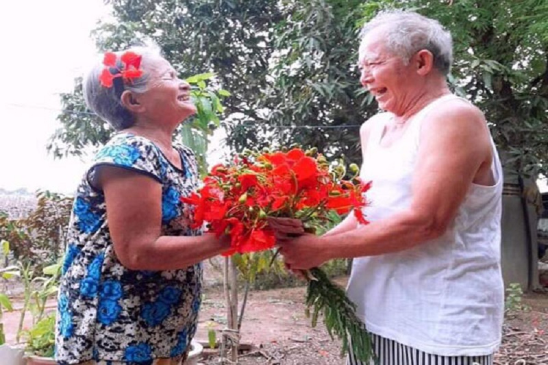 Dịp nào nên tặng hoa phượng