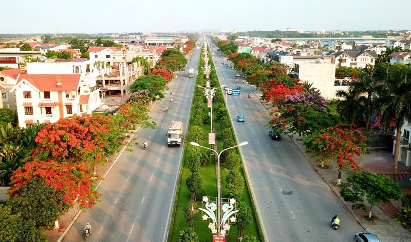 Nguồn gốc của cây hoa phượng